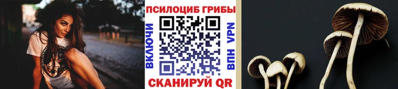 наркота  Берёзовский  Псилоцибиновые грибы Magic Shrooms 