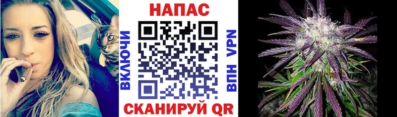 kraken ссылки  Берёзовский  Канабис сатива 
